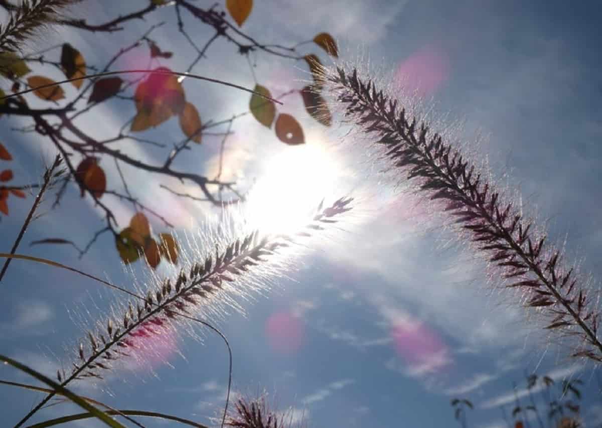 Cambiamenti climatici, nel Nord Italia questo ottobre è stato il mese più caldo dal 1800