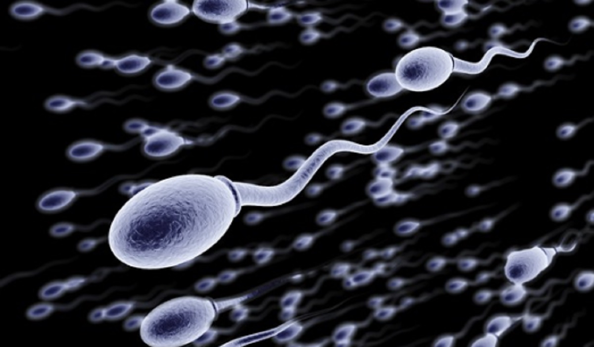 Spermatozoi, la metà svanita: in 50 anni meno 1% l'anno. Giovani: un mld rischia l'udito per volume cuffiette