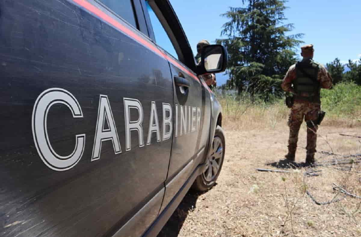 Talana, trovati 1200 kg di marijuana in 34 bidoni: sequestro da un milione di euro