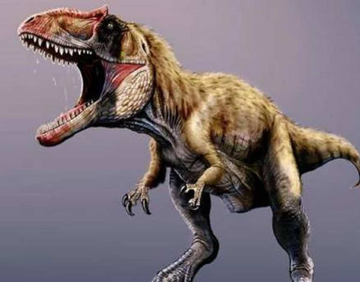 Sisifo, scoperto l'antenato del T-rex. Il fossile (scoperto in Montana) risale a 76 milioni di anni fa