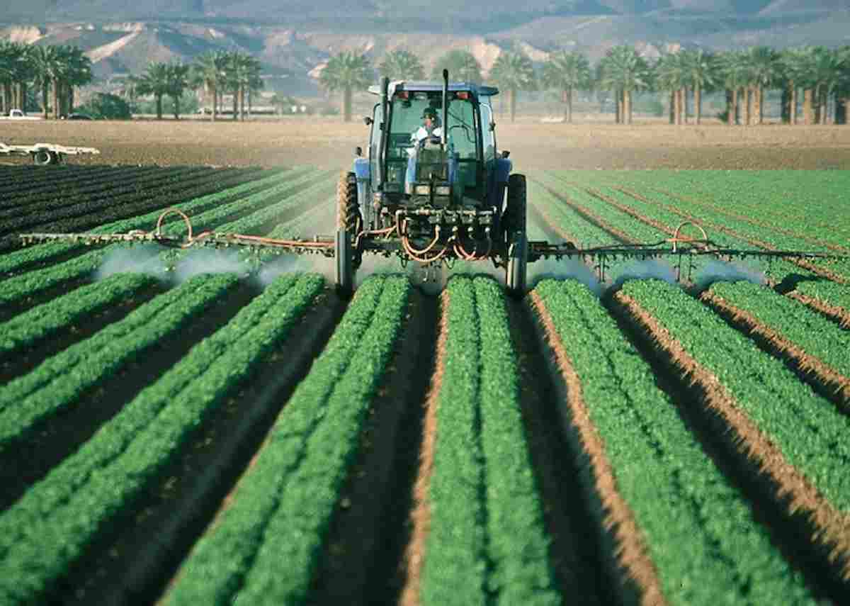 agricoltura-foto-ansa