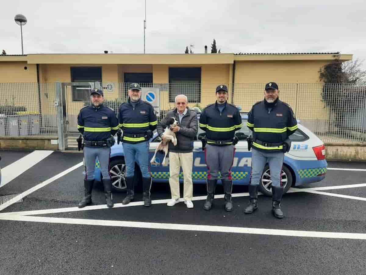 cane autostrada polstrada