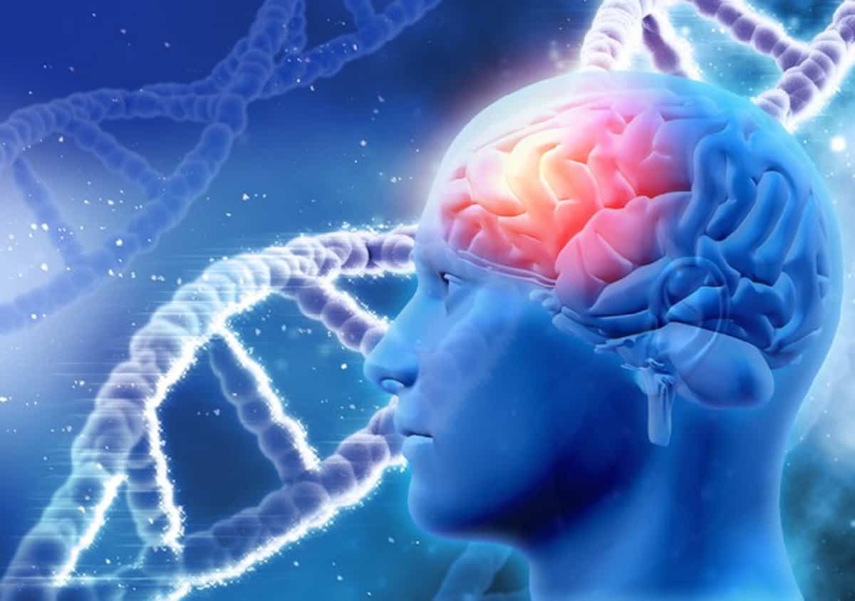 Individuato un nuovo gene responsabile dell'autismo, lo studio dell'università di Torino