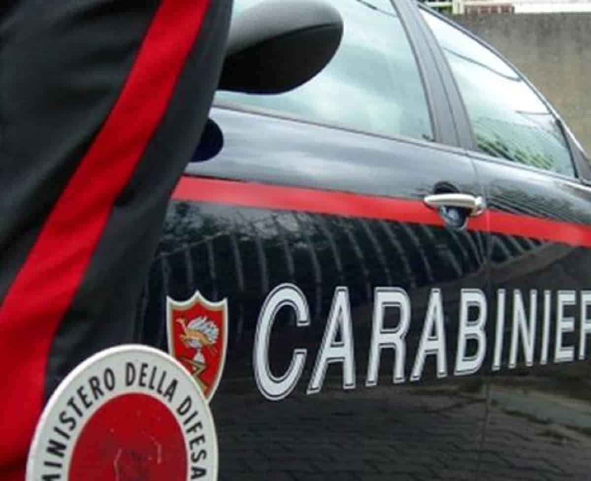 Carabinieri, Ansa