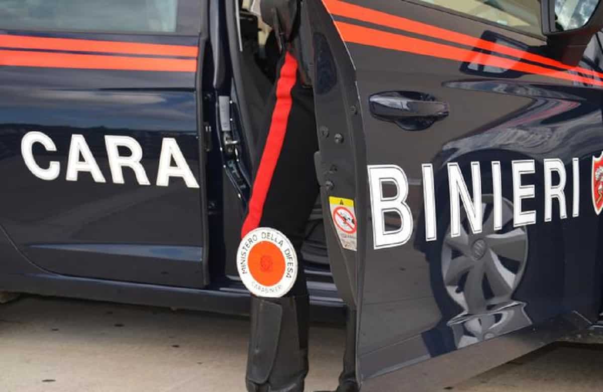 Carabinieri, Ansa