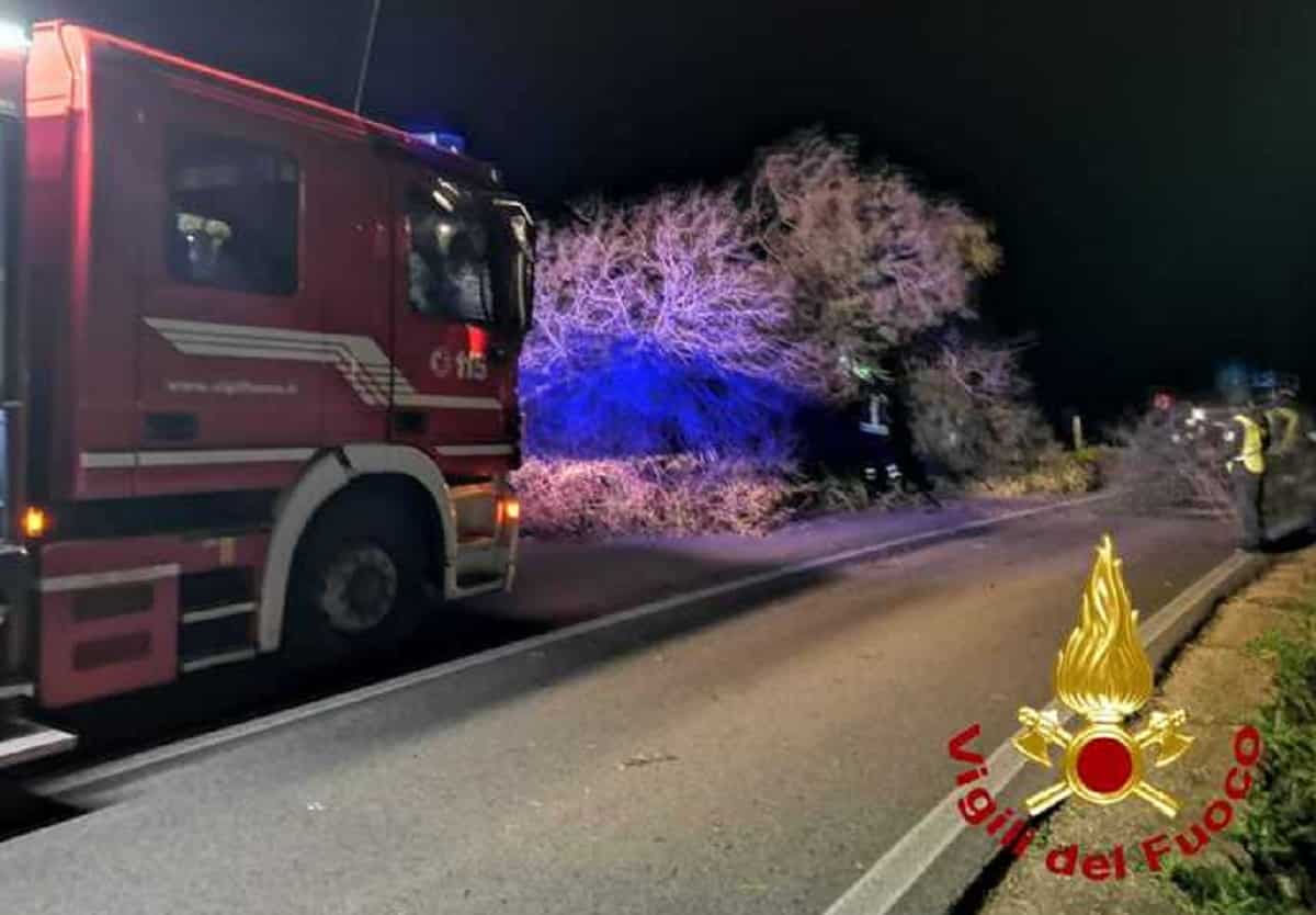 Maltempo Sardegna, vento a 60 km/h abbatte alberi e pali