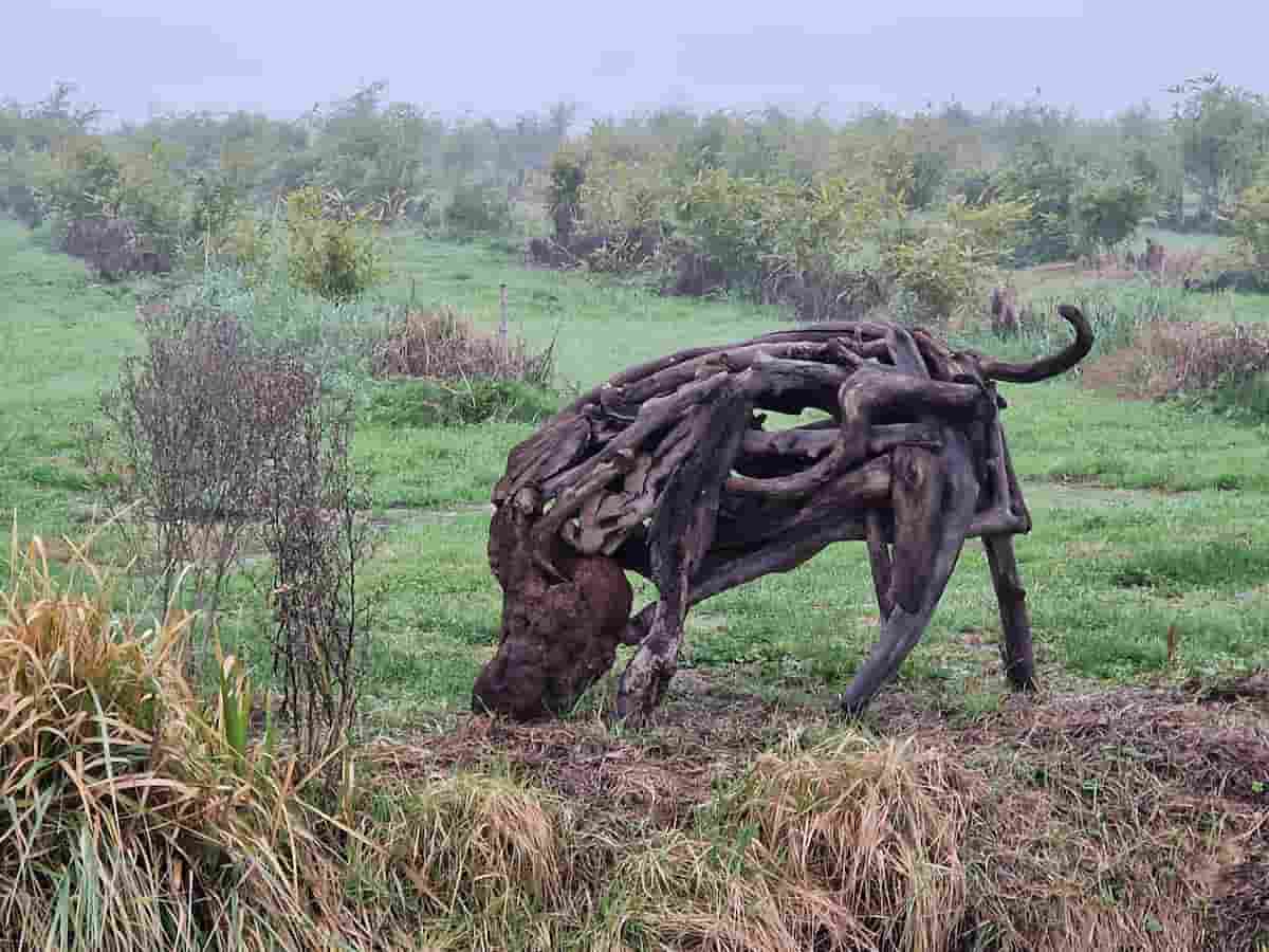 Un museo nella foresta di bambù per gli scarti del mare: le sculture di Enrico Menegatti,a Ferrara, all'aperto