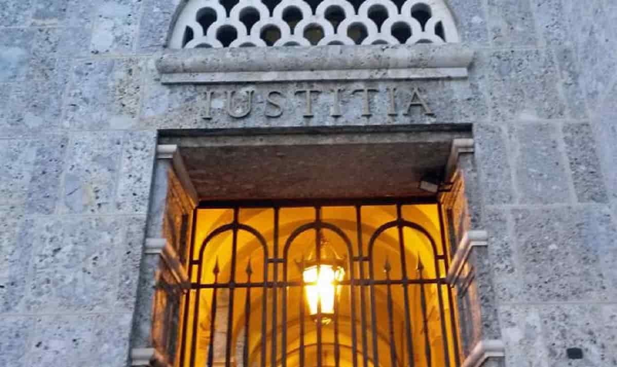 Adottato e abbandonato, foto d'archivio Ansa