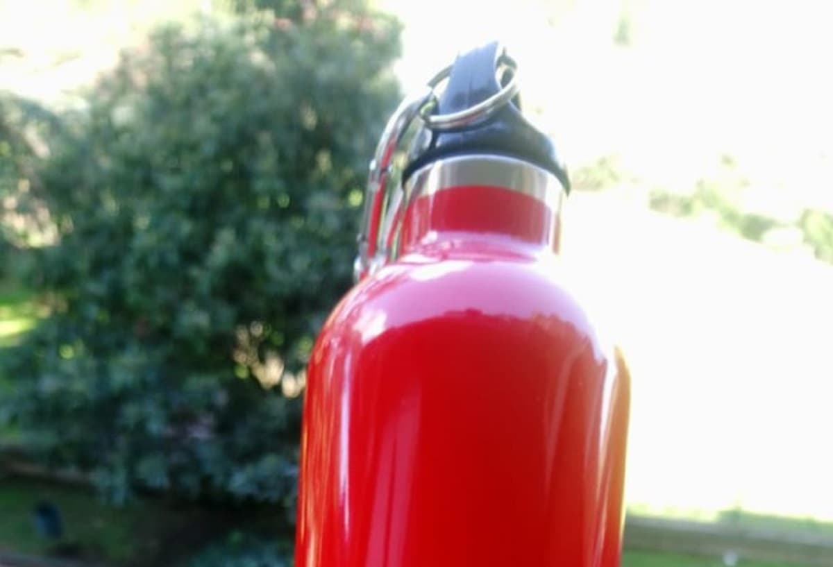 Borracce batteri, foto Ansa