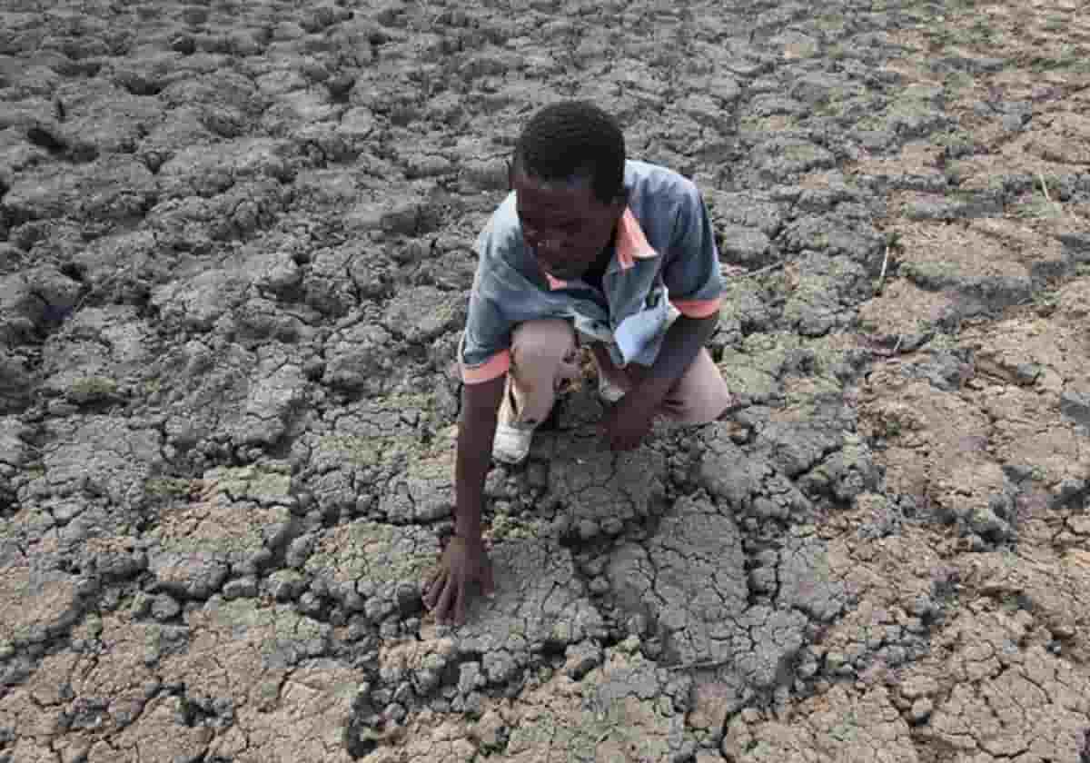 Cambiamenti climatici, foto Ansa