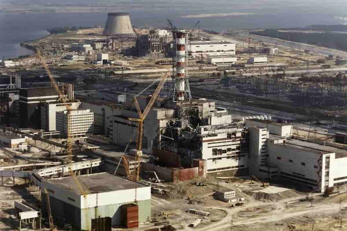 Chernobyl cani