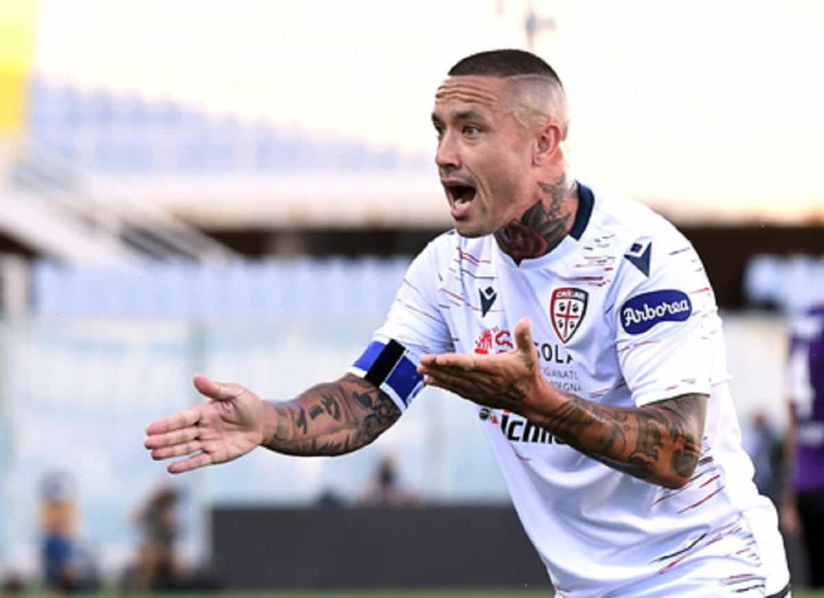 Radja Nainggolan, Ansa