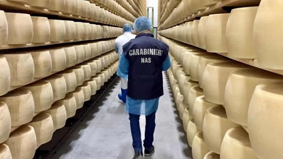 parmigiano reggiano ragni