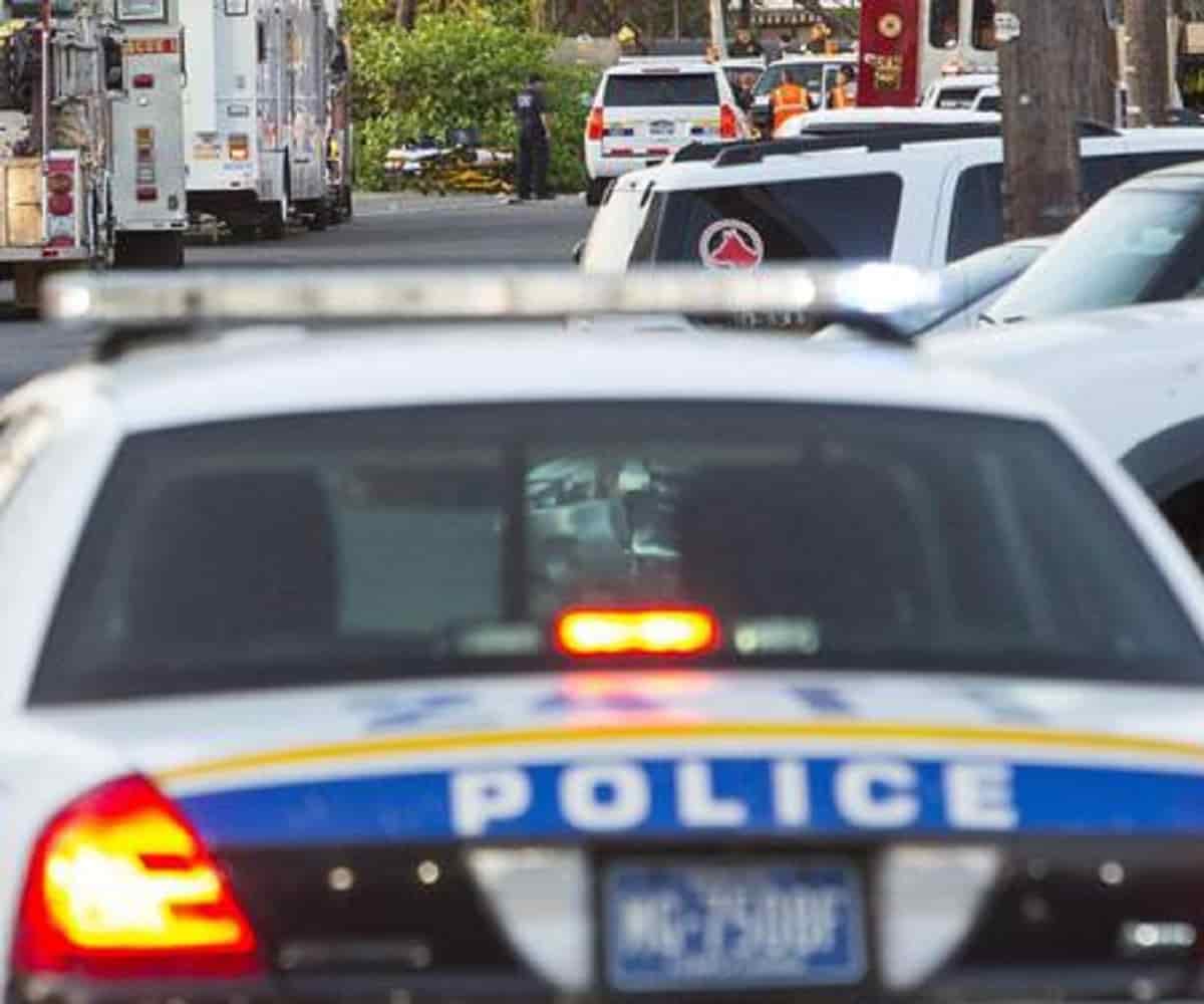 Travolta da un'auto sulle strisce, Ansa