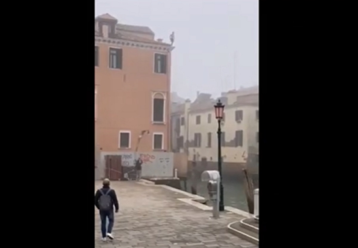 venezia si tuffa nel canale