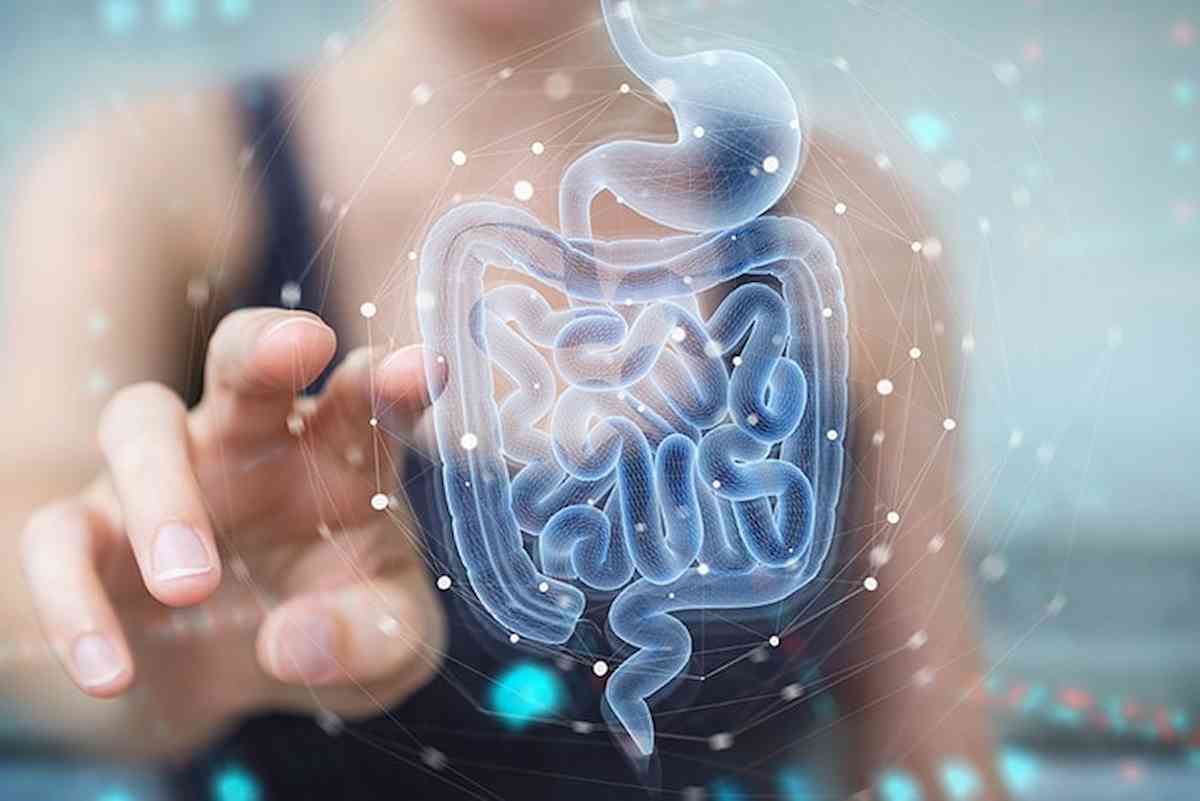 Nel microbiota intestinale è scritta l'anoressia: la diversa composizione potrebbe favorire il disturbo