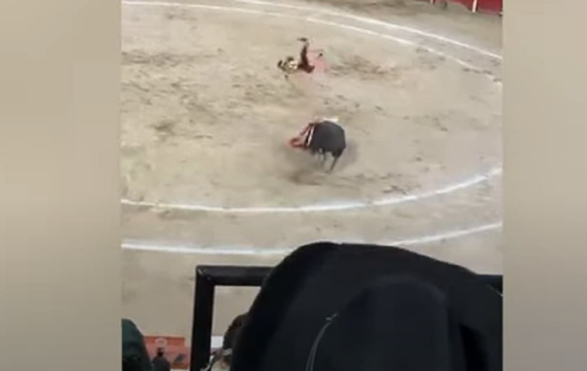 Il toro incorna il matador e lo fa volare per 4 metri VIDEO