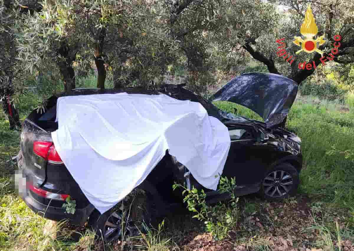 incidente gizzeria