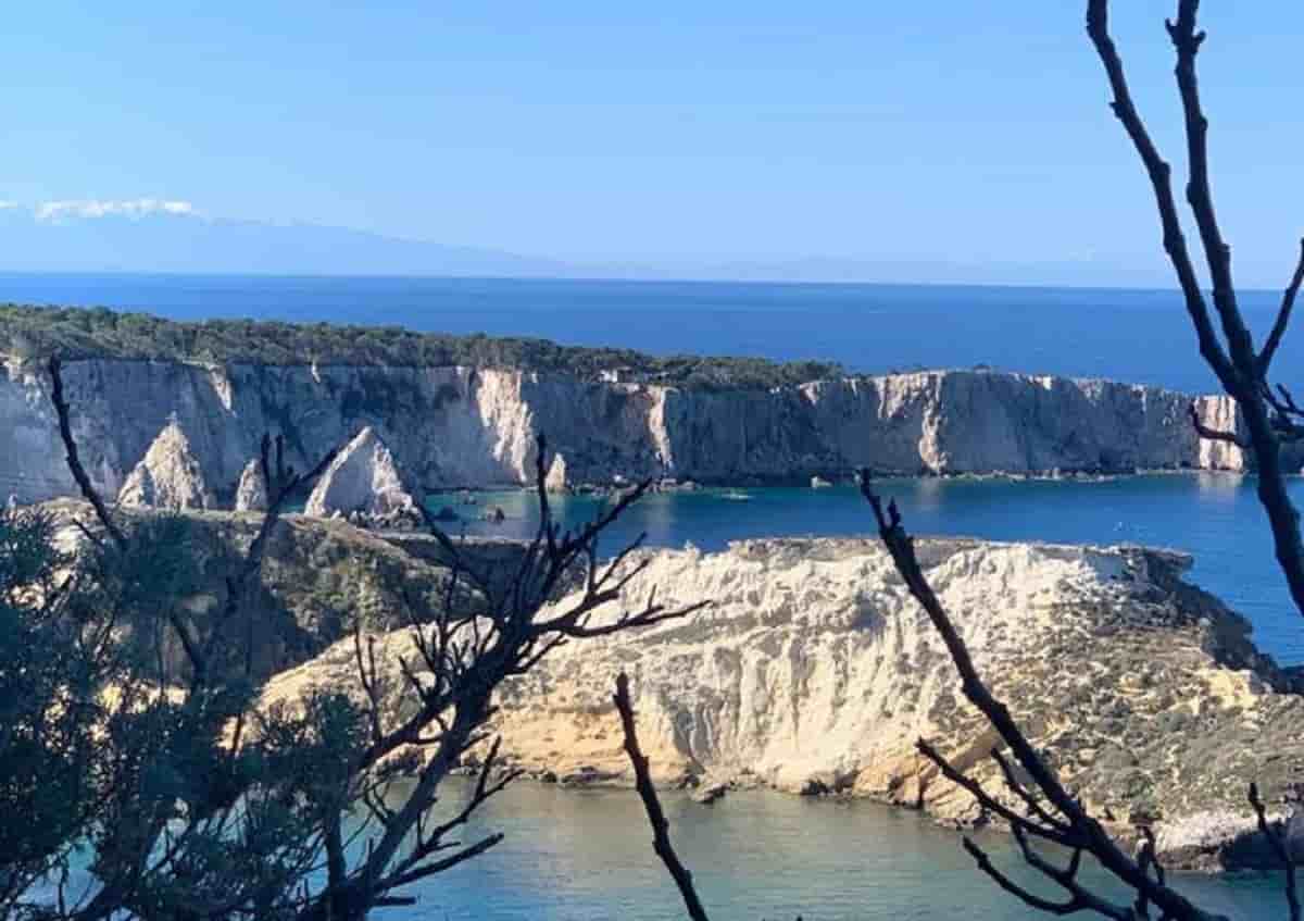 Giuseppe Calabrese, foto d'archivio Ansa