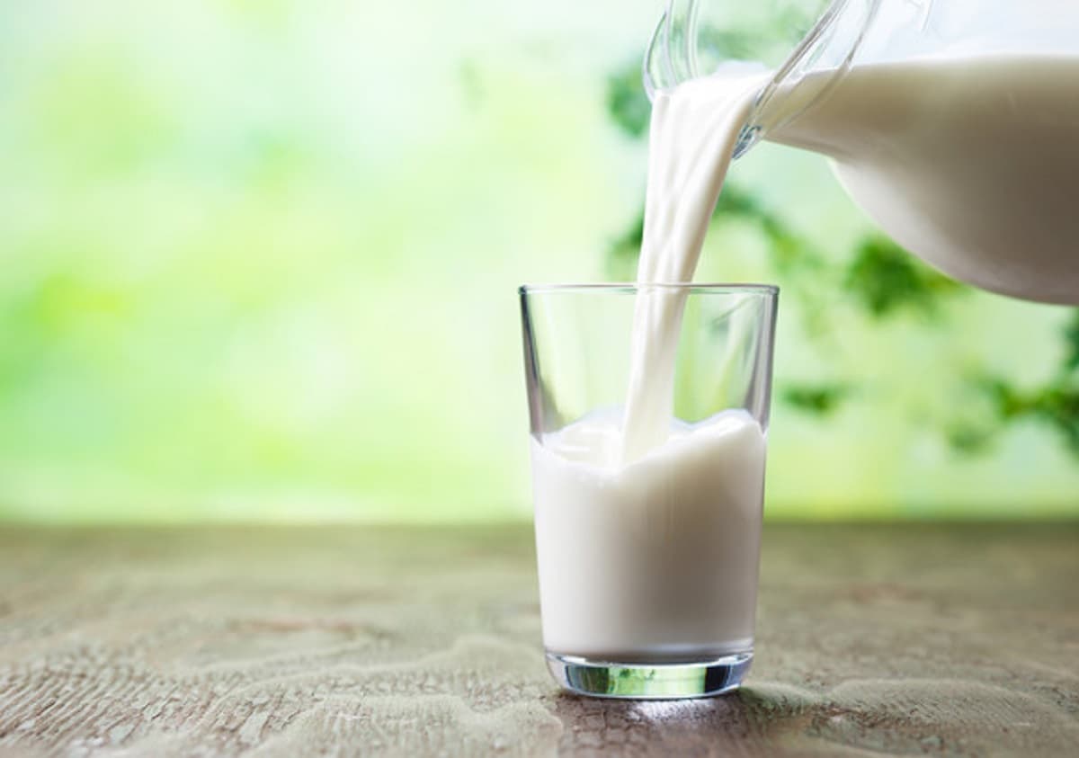 Latte coltivato, foto d'archivio Ansa