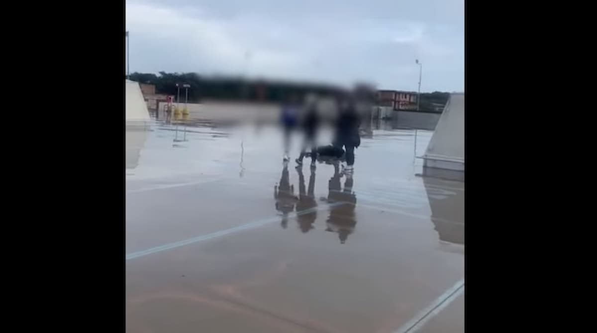 ragazzino botte branco video