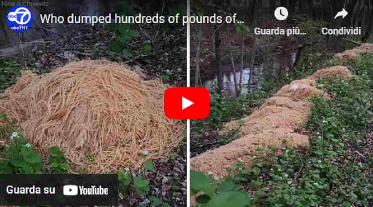 Il mistero della pasta abbandonata