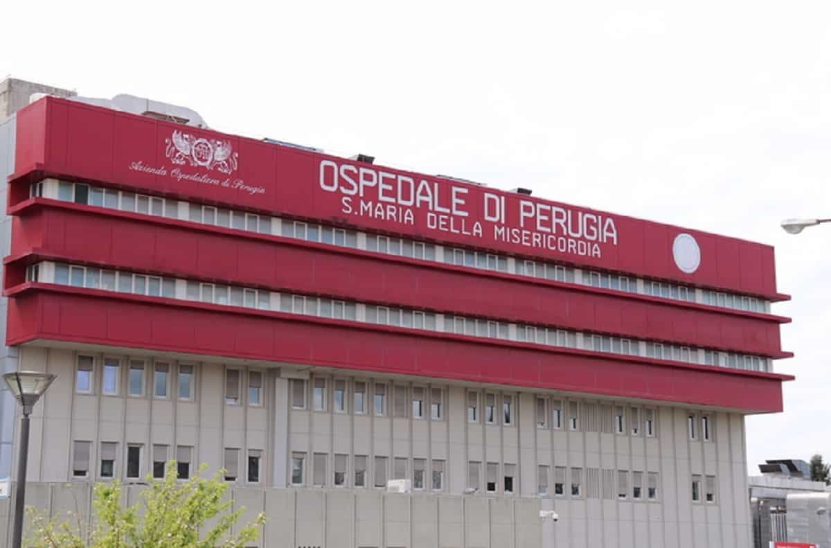 Precipita da impalcatura e muore, foto Ansa