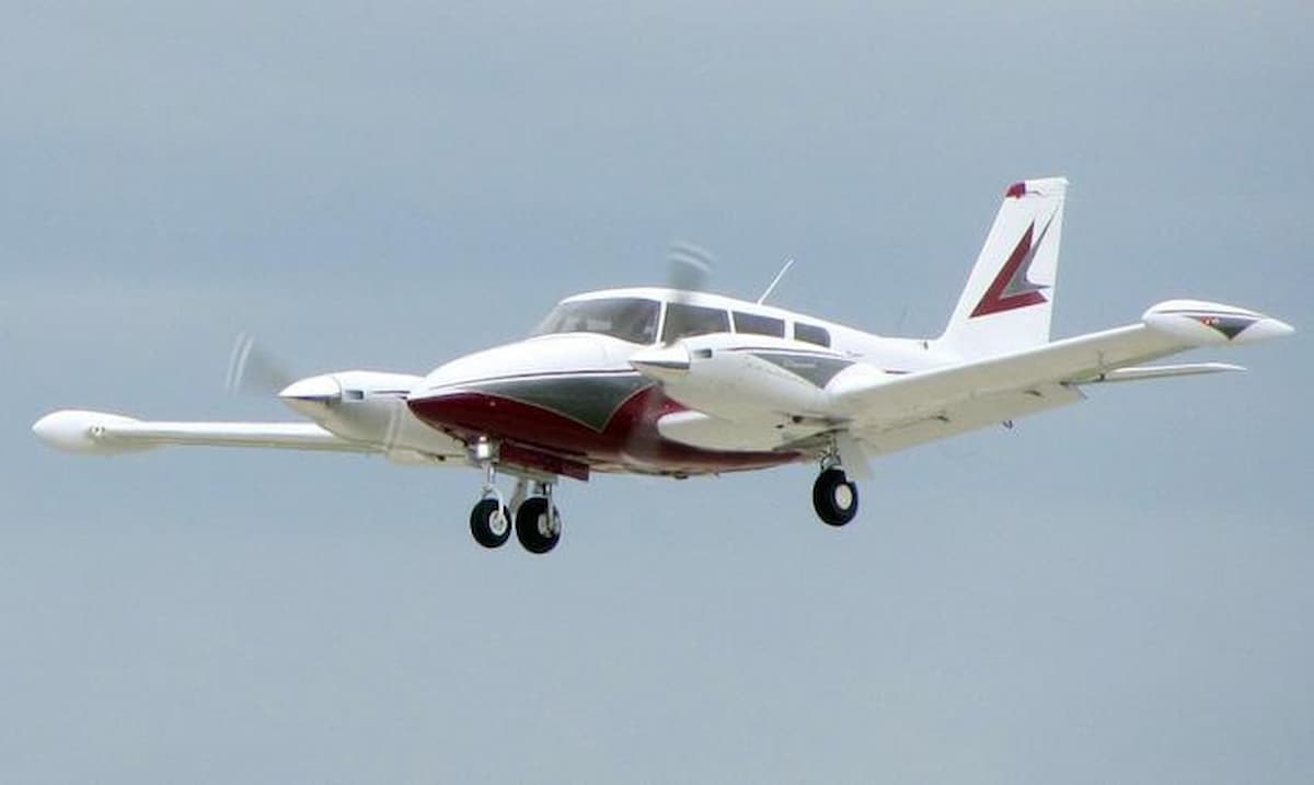 piper precipita cellole