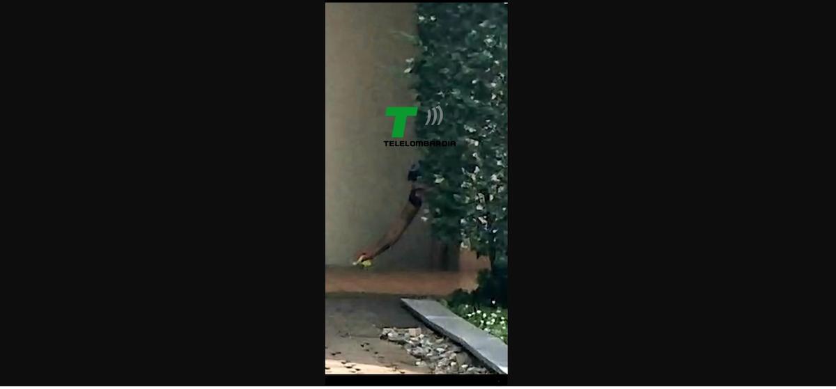 impagnatiello_pulisce_sangue_scale