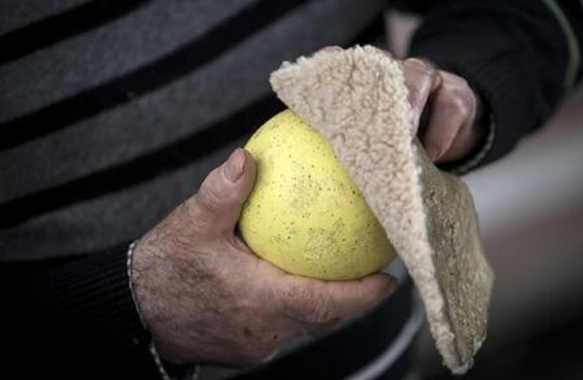 Partita a carte alla bocciofila, foto Ansa