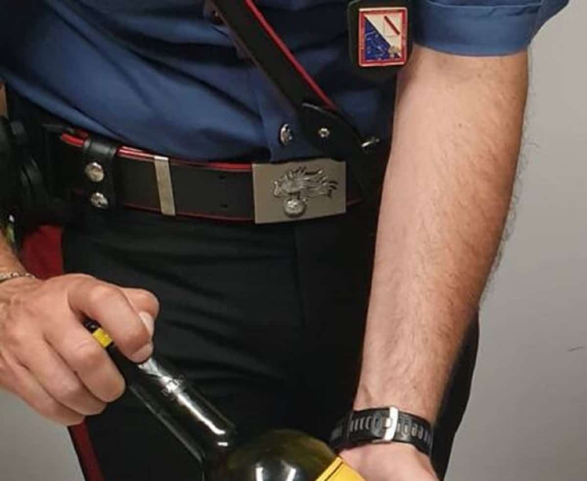 Cocaina liquida, Ansa