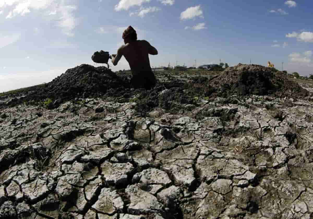 Ecoansia, che cos'è. Foto Ansa