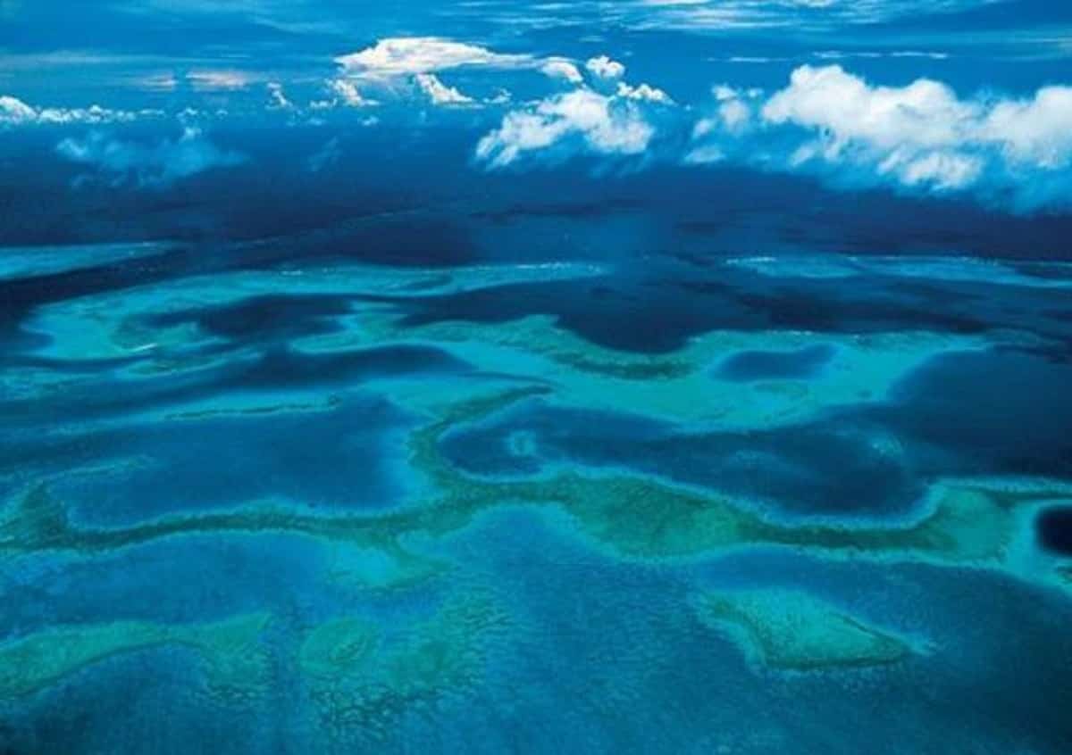 Oceani verdi, foto Ansa