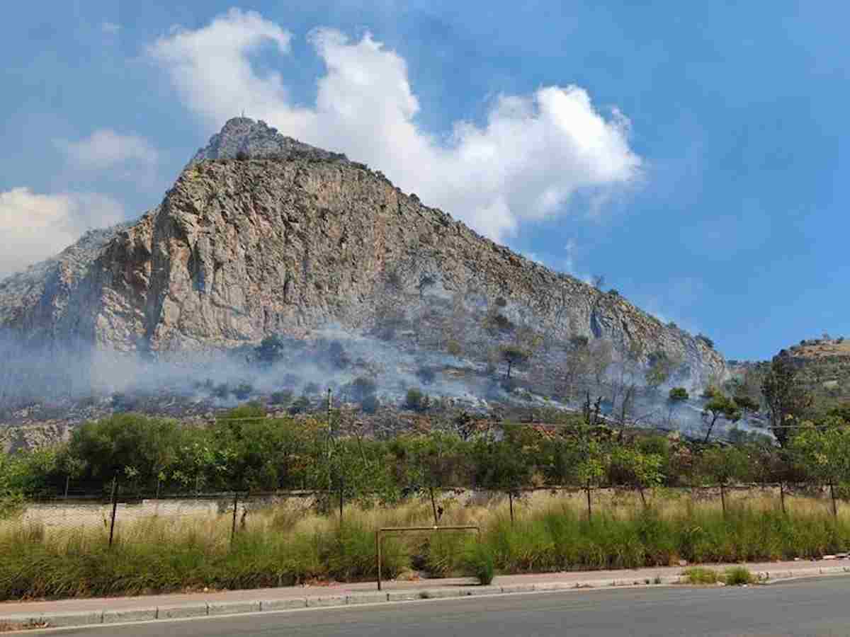 monte_pellegrino_palermo_nuovo_incendio