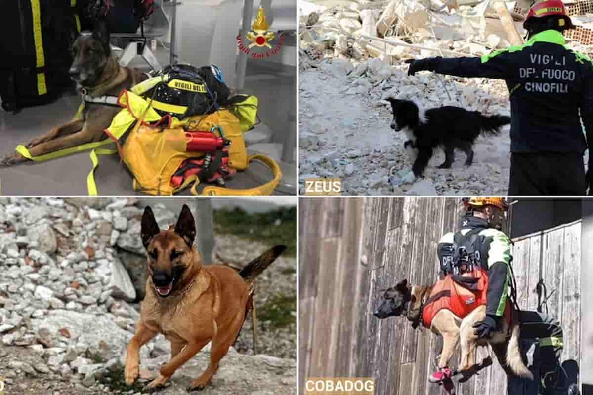 Ferragosto nero: record di morti, imprudenze, speculazione: note lieta il “Premio Fedeltà del Cane” di Camogli