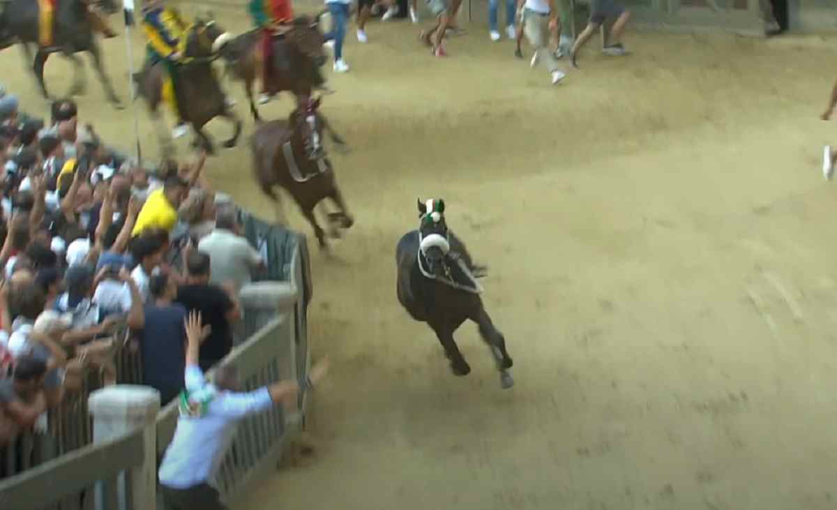 palio_siena_cavallo_vince