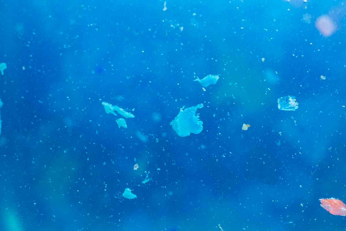 microplastiche_foto_ansa