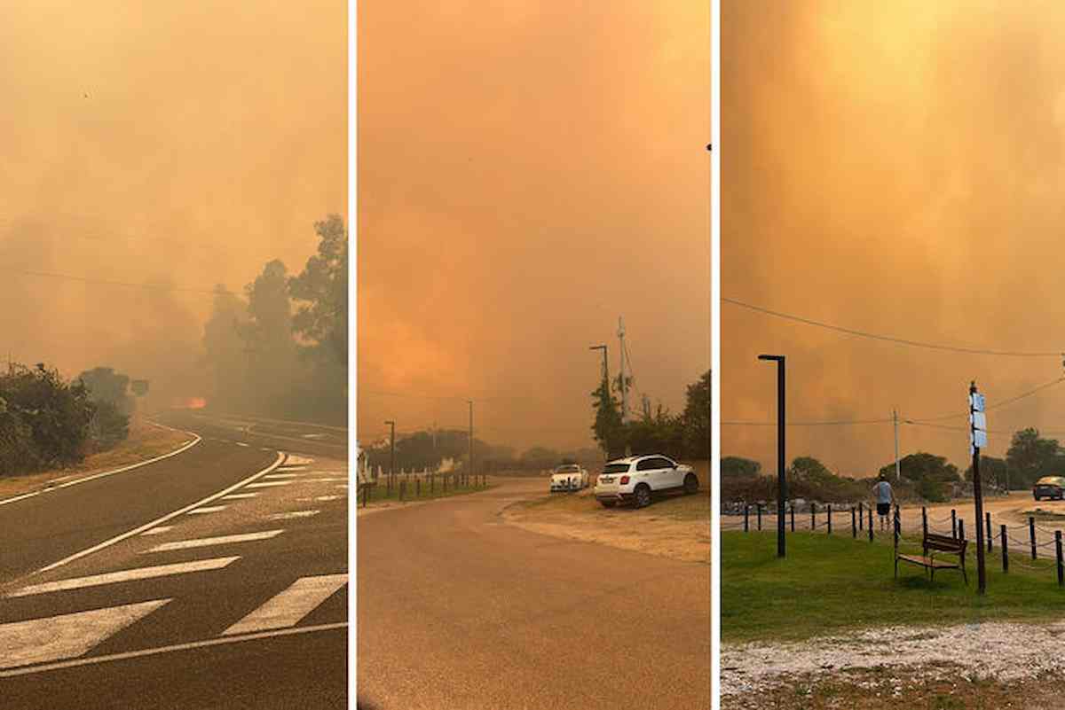 incendi:sardegna_uomo_dolosi