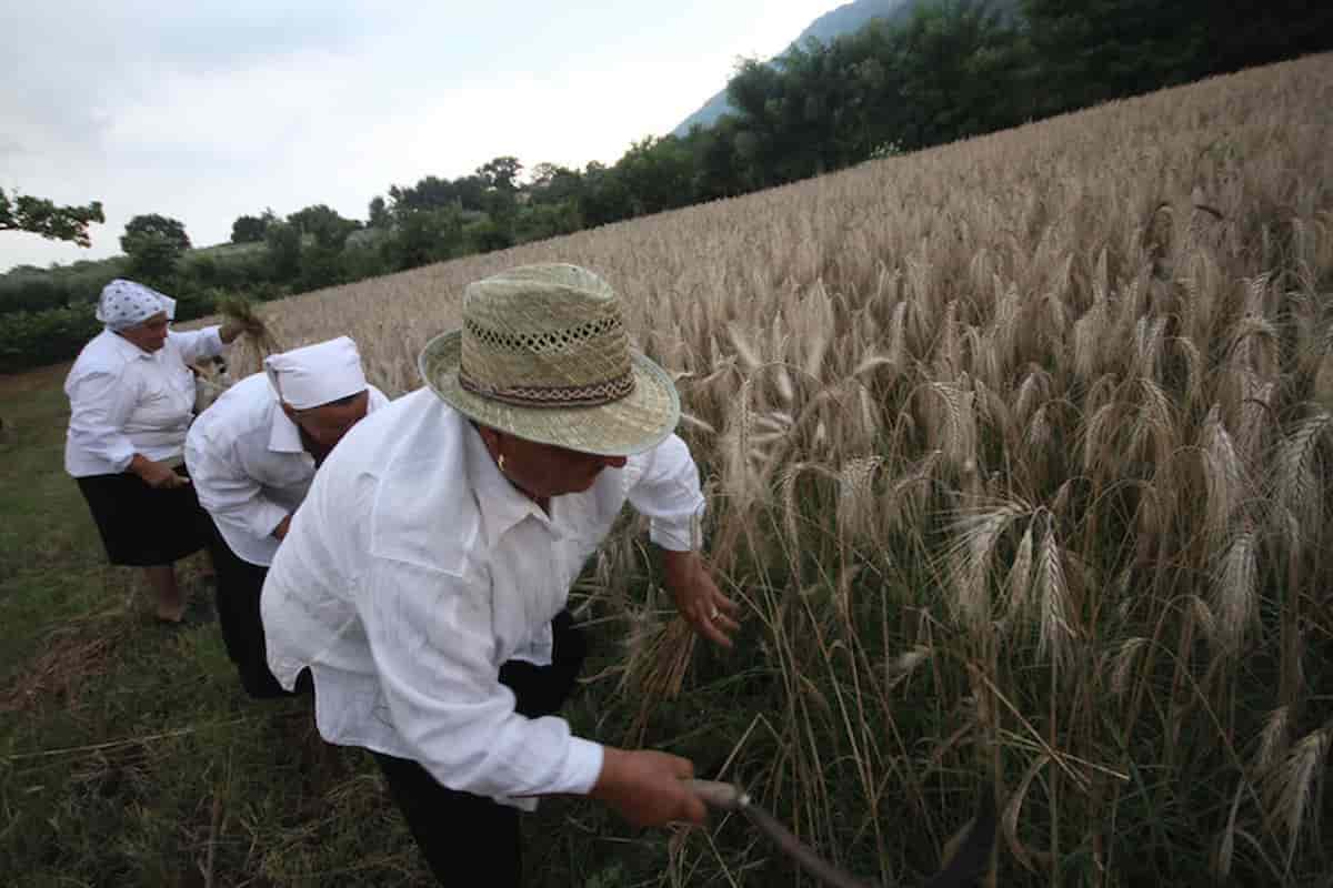 salario minimo financial times