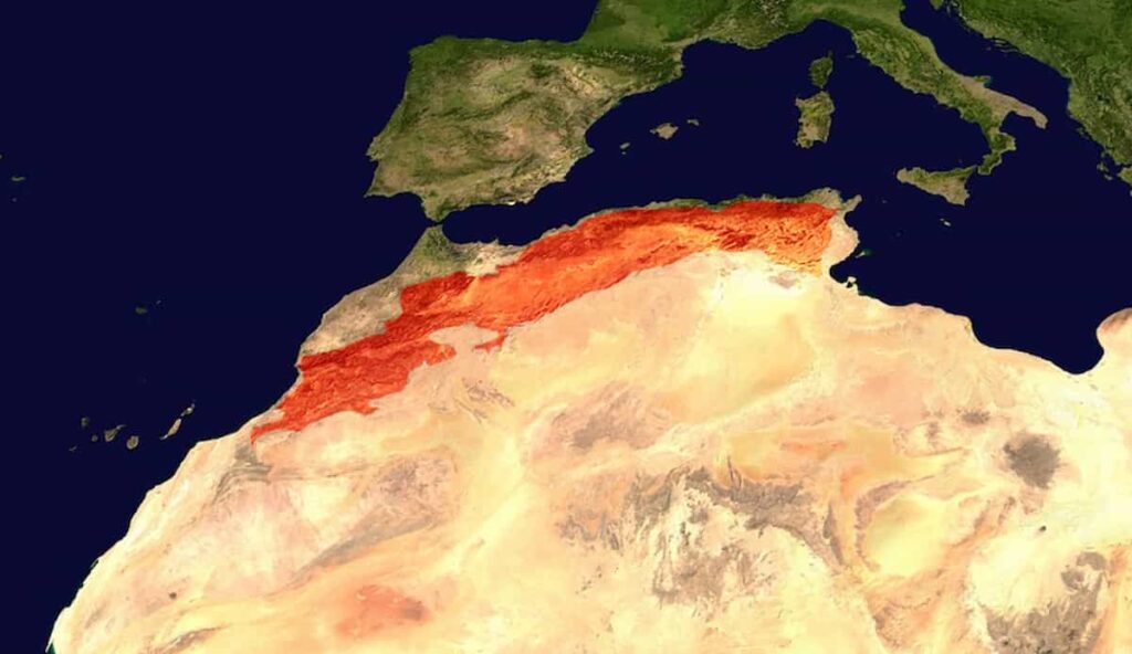 Terremoto Marocco Sisma Causato Da Compressione Catena Atlante
