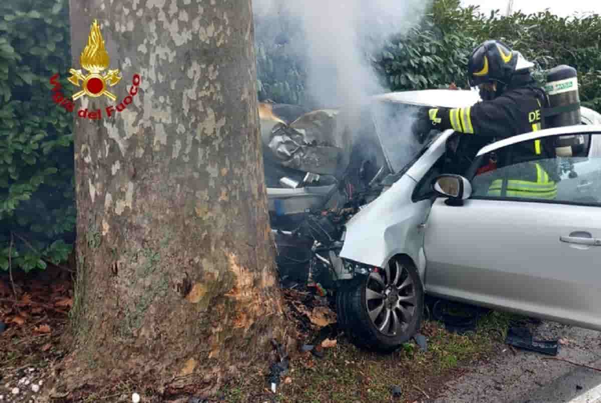 Auto contro albero, foto d'archivio Ansa