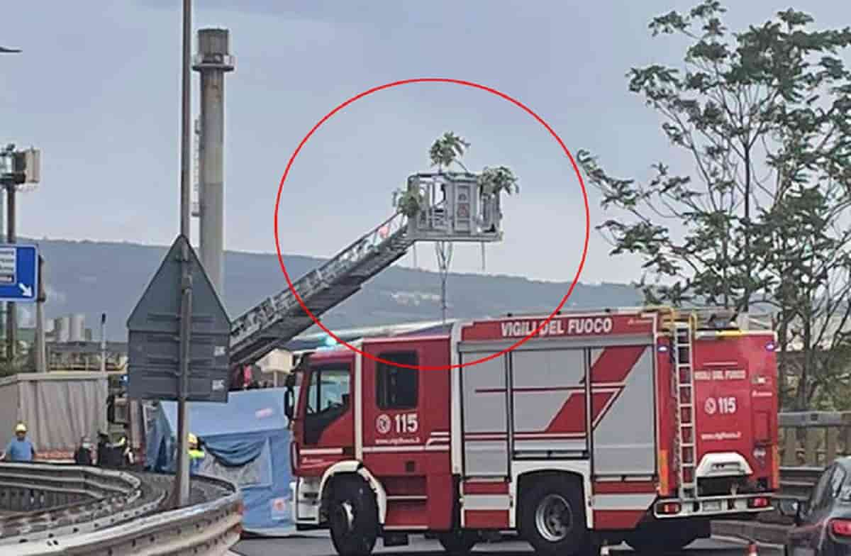 Il giallo del cadavere di Trieste, foto Ansa