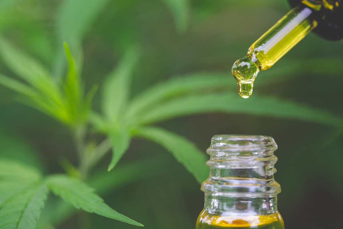 cannabis olio cbd