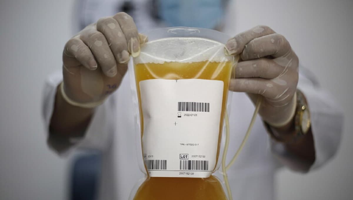 La ricerca dell'immortalità, foto Ansa