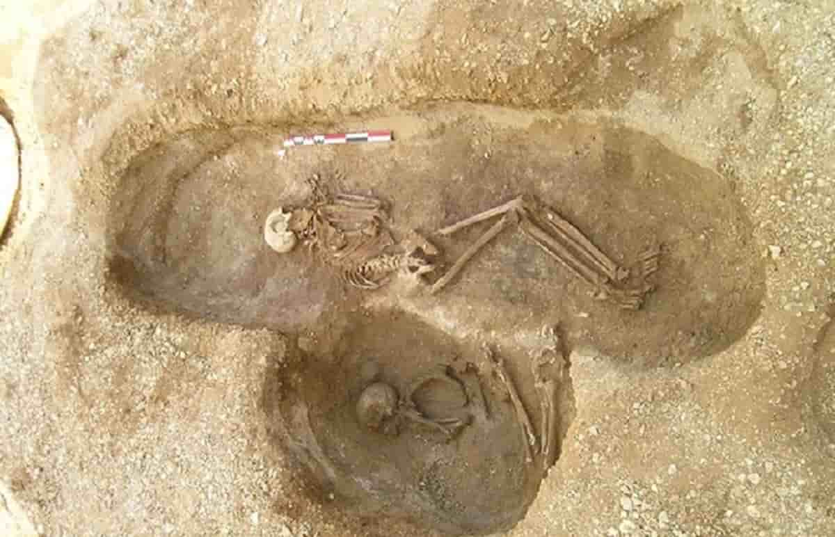 umanità fu a un passo dall'estinzione, foto d'archivio Ansa