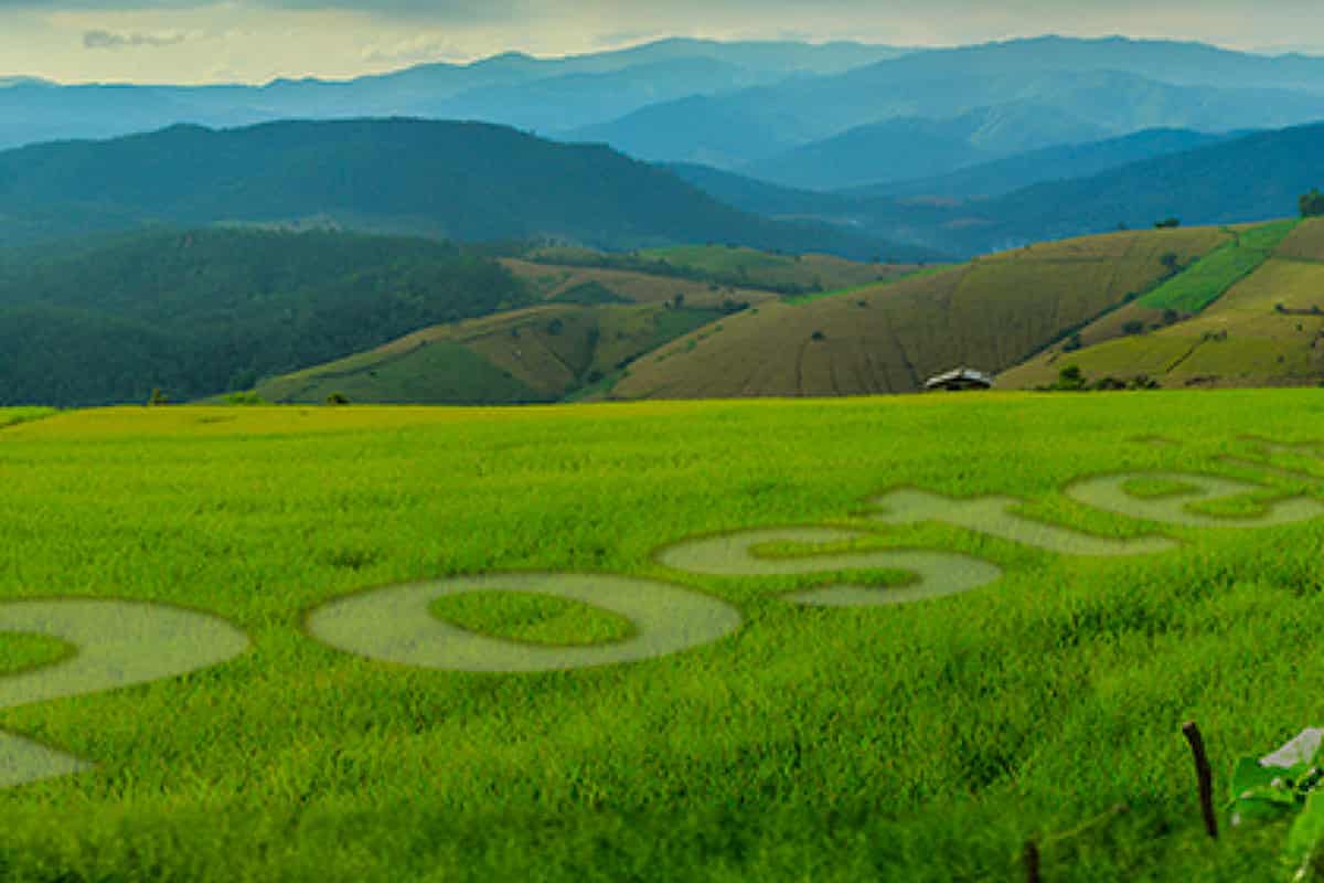 poste italiane premio impatto