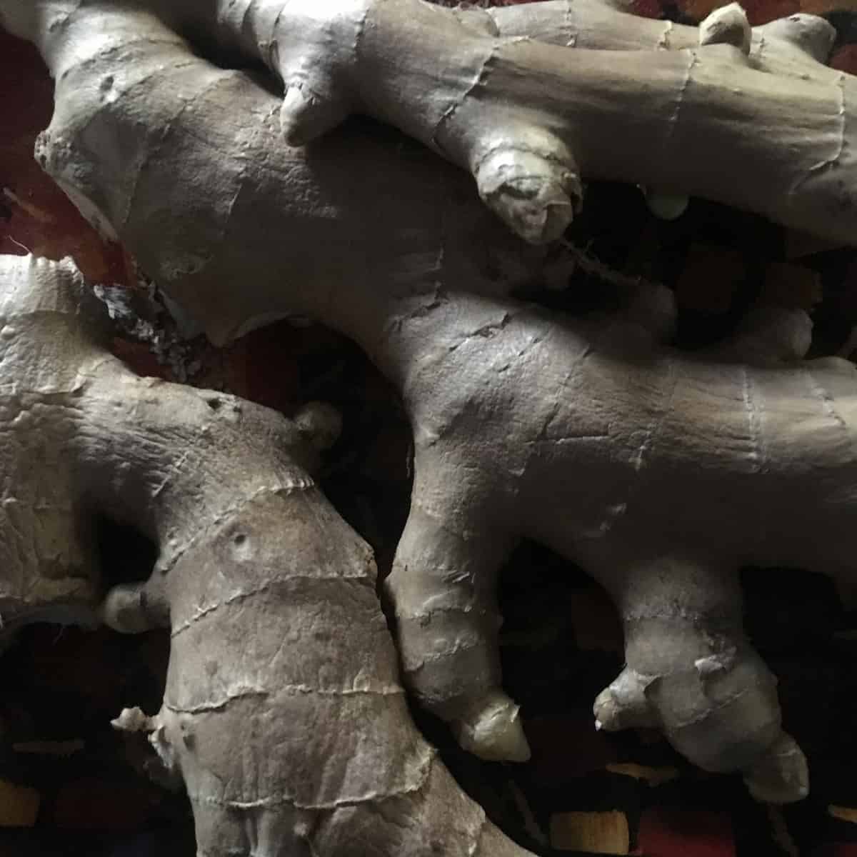 Lo zenzero aiuta nel trattamento del diabete? La risposta è positiva