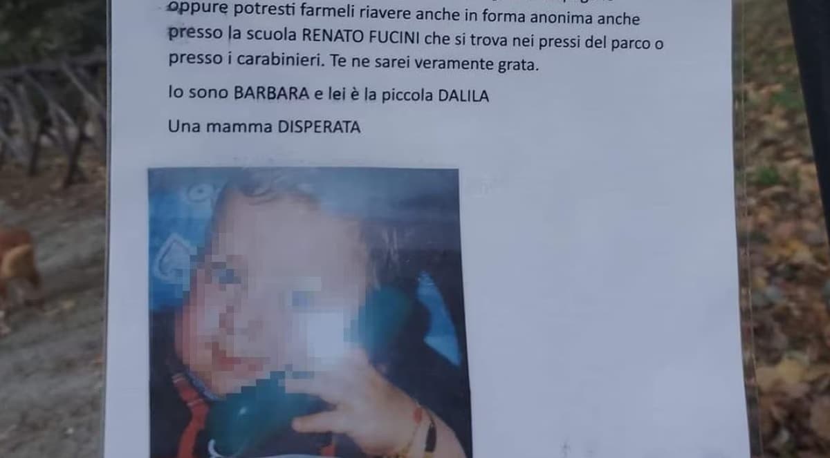 Ladro le ruba la borsa