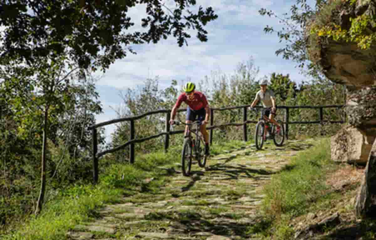 Passano col rosso davanti ai carabinieri: multato gruppo di ciclisti. Foto d'archivio Ansa
