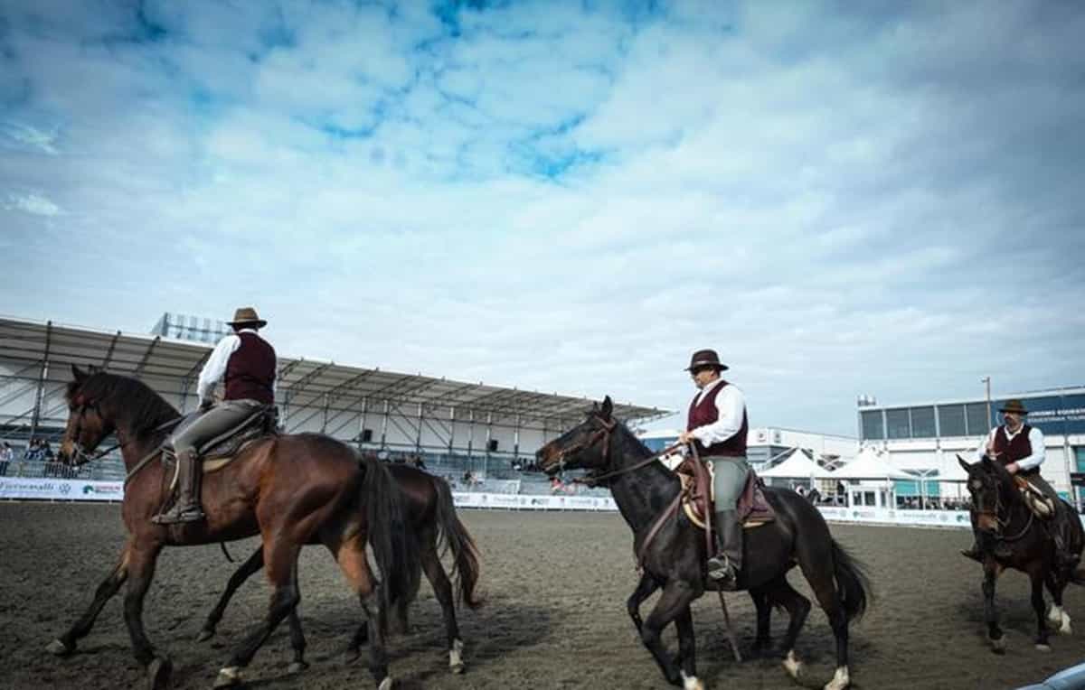Fieracavalli a Verona (9-12 novembre). Esemplari di 25 Paesi. Oltre 200 eventi. Diretta Rai Sport. Foto Ansa